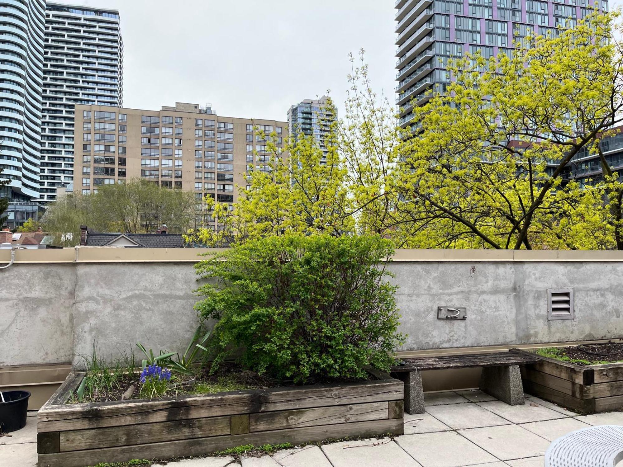 Neill Wycik Hotel Toronto Exterior foto